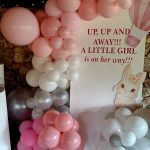 Baby Shower 2
